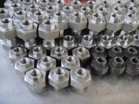 آلیاژ 800HT Inکلوفون 800HT جعلی سوکت موضوعی پلاگین نوک پستان رئیس اتحادیه درج
